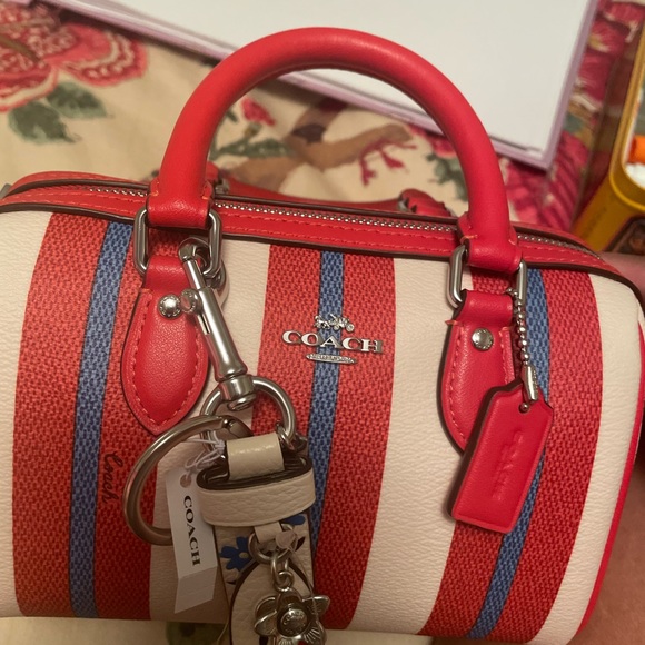 The Mini Rowan Crossbody With Stripe Print - Picture 3 of 7